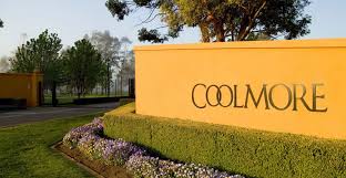 auction coolmore